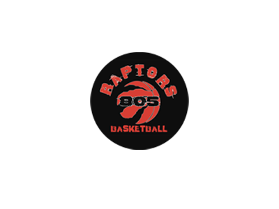 Organization logo for 805 Raptors