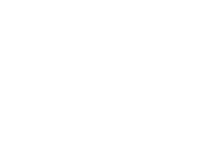 The official logo of Bay Area Wildcats