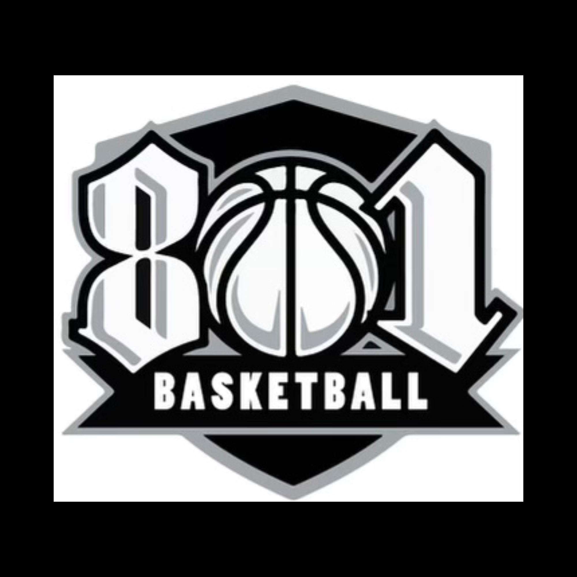 Organization logo for 801basketball