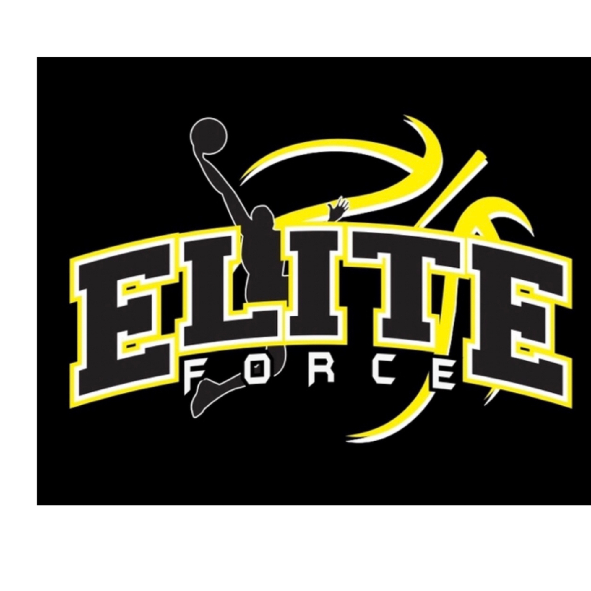 Organization logo for Elite Force