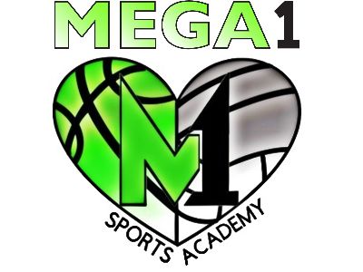 The official logo of Mega1 Sports Academy