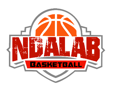 The official logo of NDALAB Elite