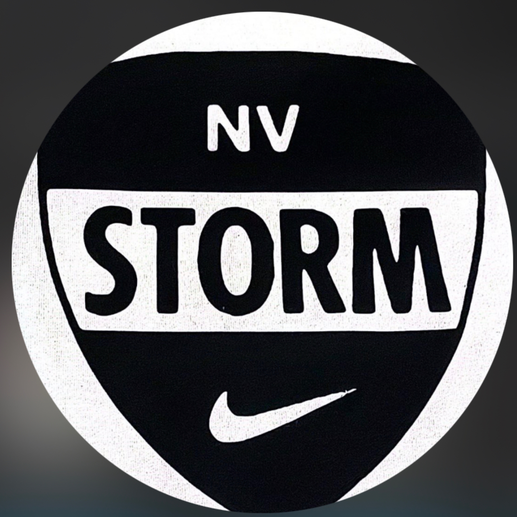 Organization logo for Storm Nike NV