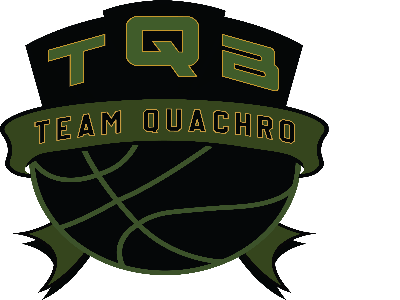 Organization logo for TQB